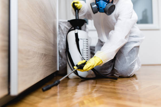 Best Cockroach Control Services  in Absecon Highlands, NJ