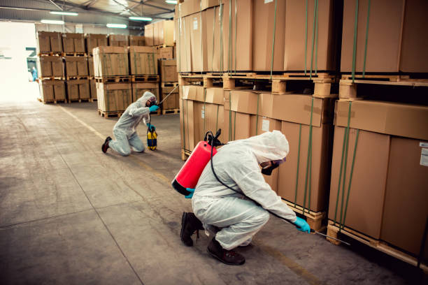 Best Pest Inspection Near Me  in Absecon Highlands, NJ
