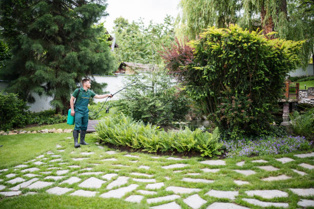 Best Local Pest Control Services  in Absecon Highlands, NJ