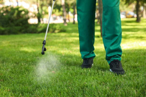 Best Emergency Pest Control  in Absecon Highlands, NJ