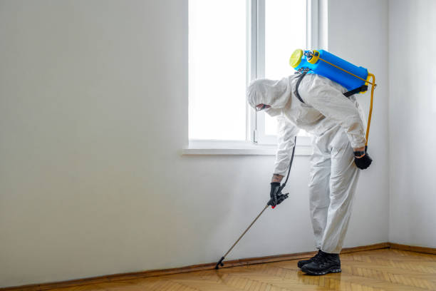 Best Wasp Removal Services  in Absecon Highlands, NJ