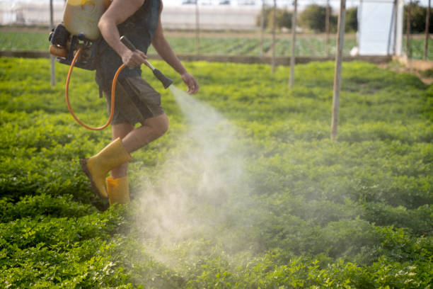 Best Affordable Pest Control Services  in Absecon Highlands, NJ
