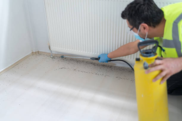  Absecon Highlands, NJ Pest Control Pros