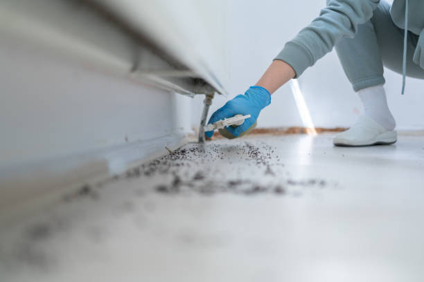 Best Pest Control Near Me in Absecon Highlands, NJ